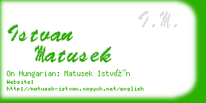 istvan matusek business card